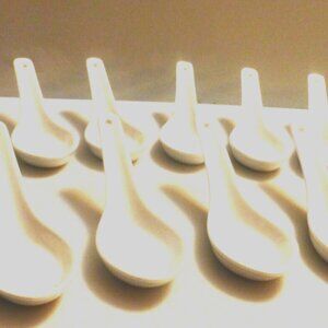 8x Royal Classic WON TON Soup SPOONS Durable Porcelain Chinse Spoons Japanese